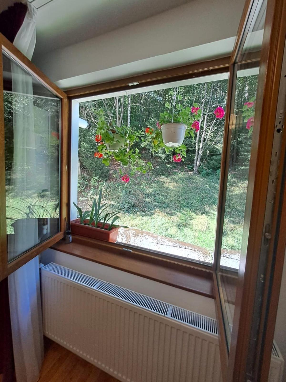 Ferienwohnung Garsoniera Flori - Sinaia Exterior foto